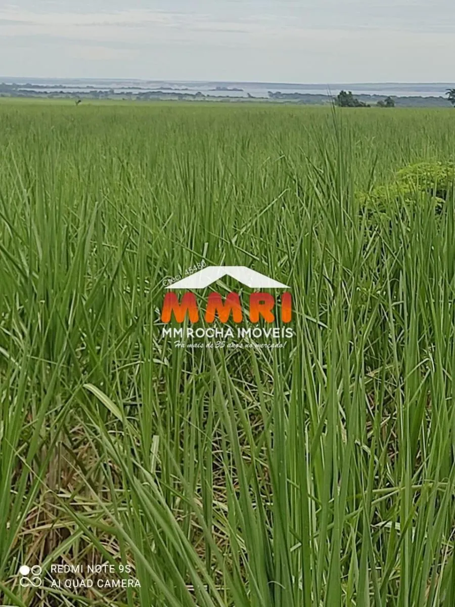 Fazenda à venda de 474 ha em Suzano, SP, Brasil