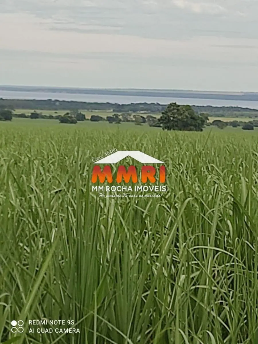 Fazenda à venda de 474 ha em Suzano, SP, Brasil