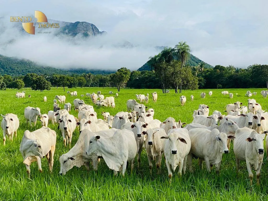 Fazenda à venda de 600 ha em Jangada, MT, Brasil