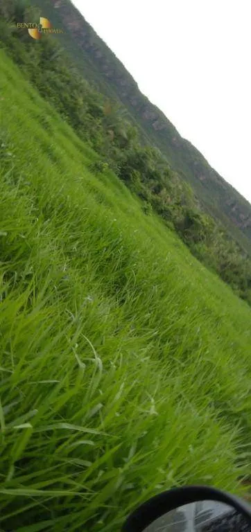 Fazenda à venda de 600 ha em Jangada, MT, Brasil