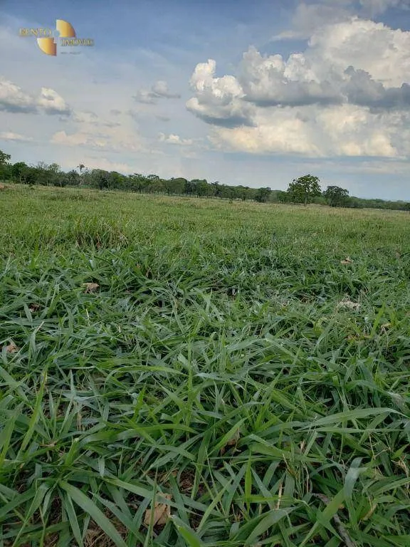 Fazenda à venda de 600 ha em Jangada, MT, Brasil