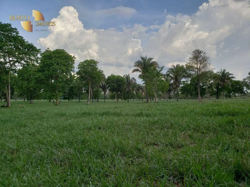Fazenda à venda de 600 ha em Jangada, MT, Brasil