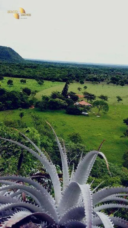 Fazenda à venda de 600 ha em Jangada, MT, Brasil