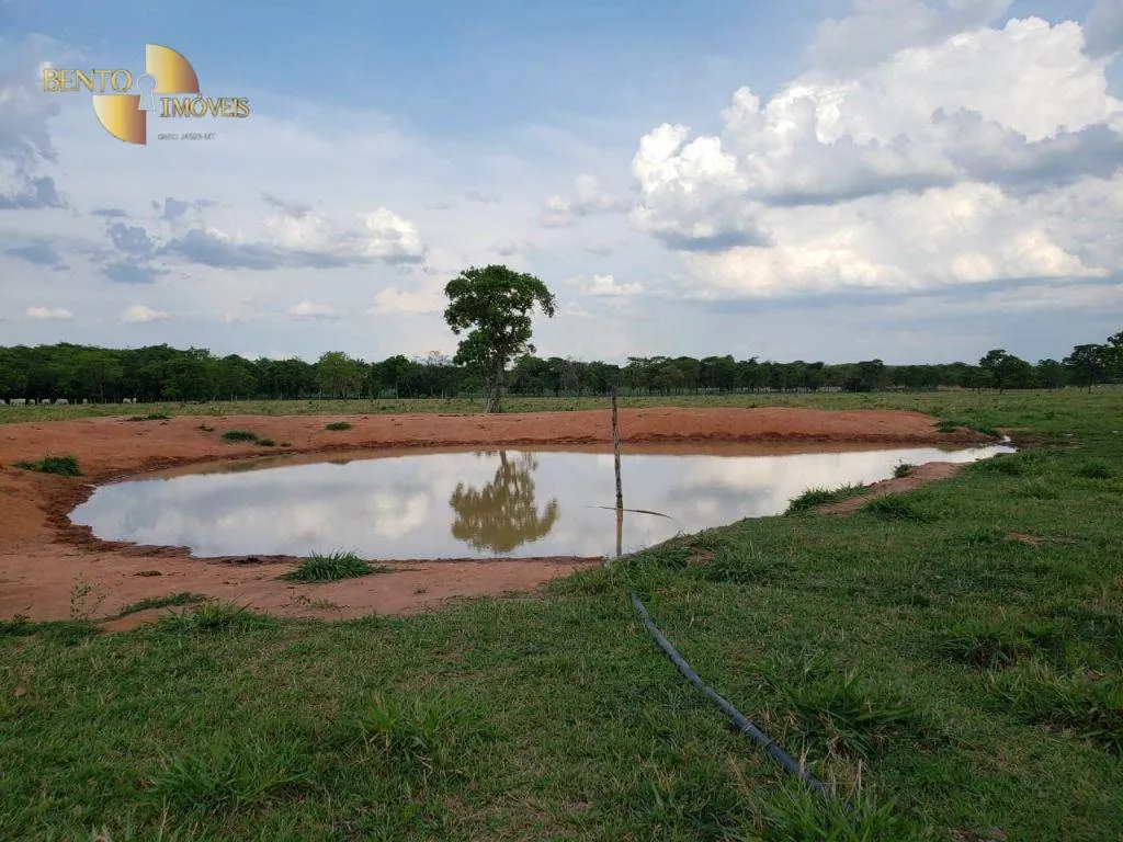 Fazenda à venda de 600 ha em Jangada, MT, Brasil