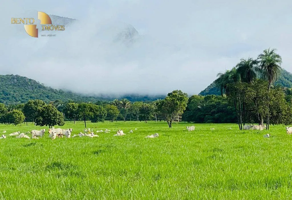 Fazenda à venda de 600 ha em Jangada, MT, Brasil