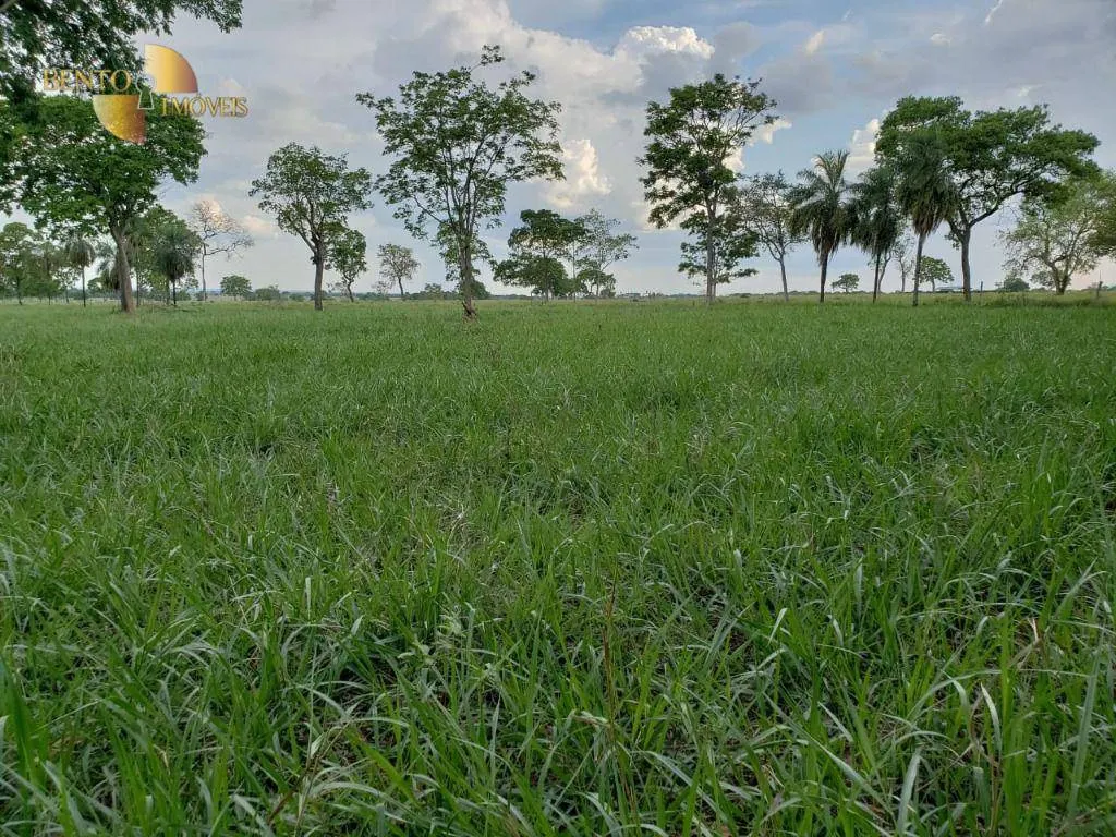 Fazenda à venda de 600 ha em Jangada, MT, Brasil