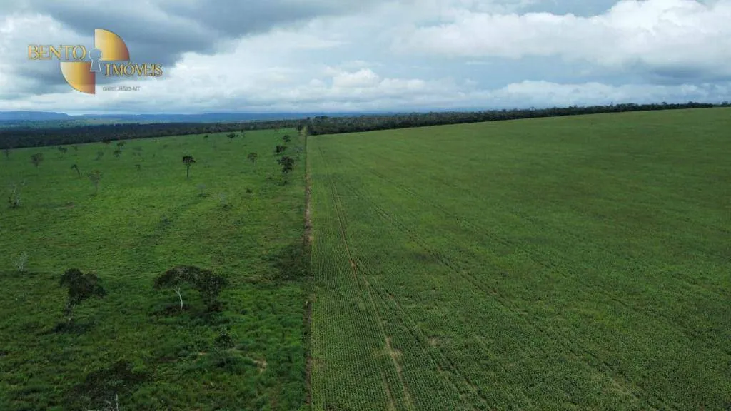 Fazenda à venda de 1.436 ha em Poxoréu, MT, Brasil