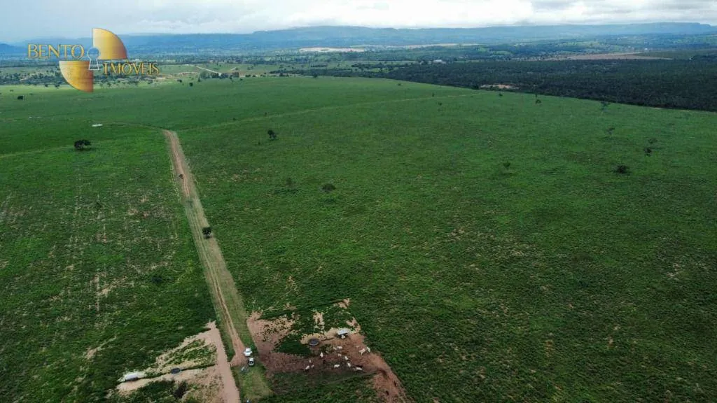 Fazenda à venda de 1.436 ha em Poxoréu, MT, Brasil