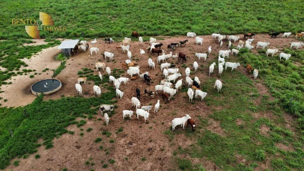 Fazenda à venda de 1.436 ha em Poxoréu, MT, Brasil