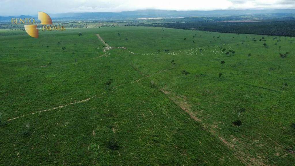 Fazenda à venda de 1.436 ha em Poxoréu, MT, Brasil