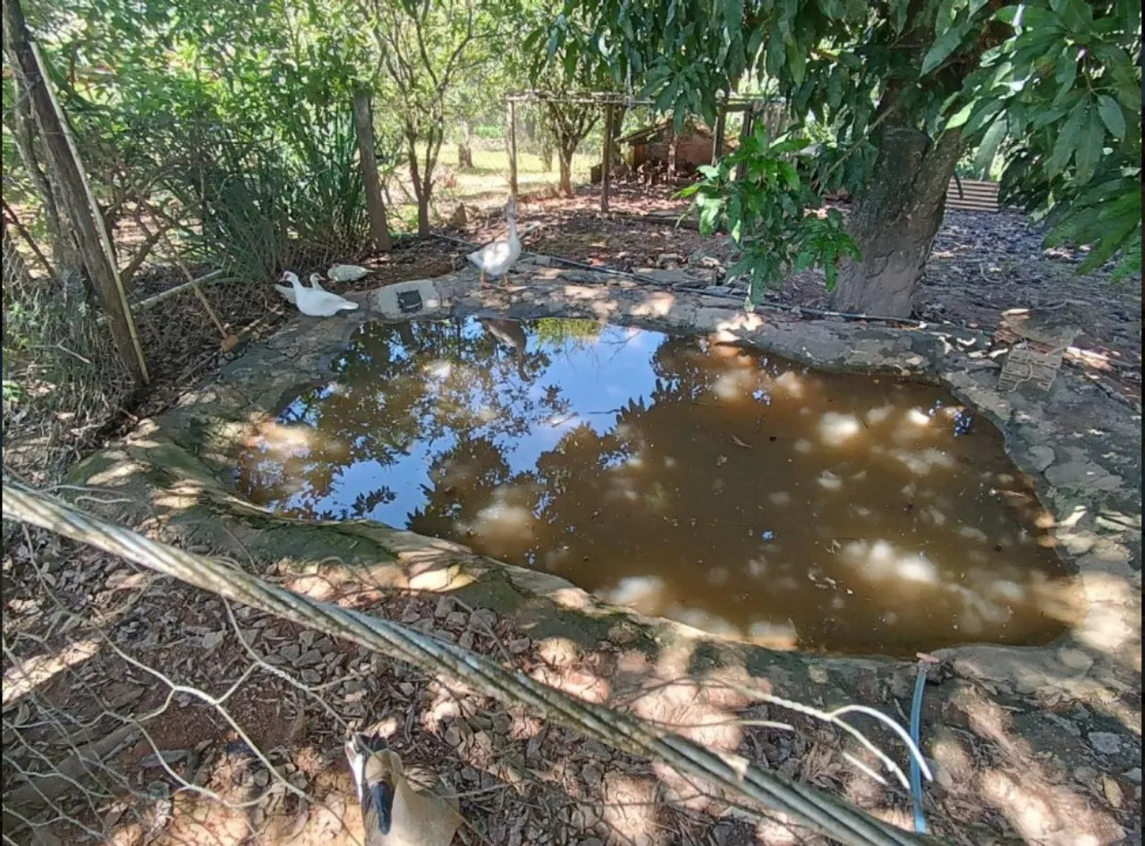 Fazenda à venda de 9 ha em Lavras, MG, Brasil