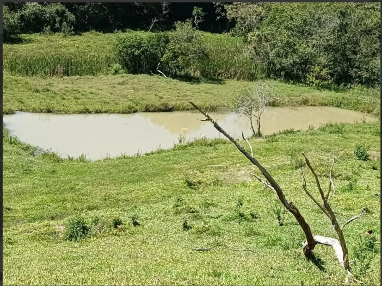 Fazenda à venda de 9 ha em Lavras, MG, Brasil