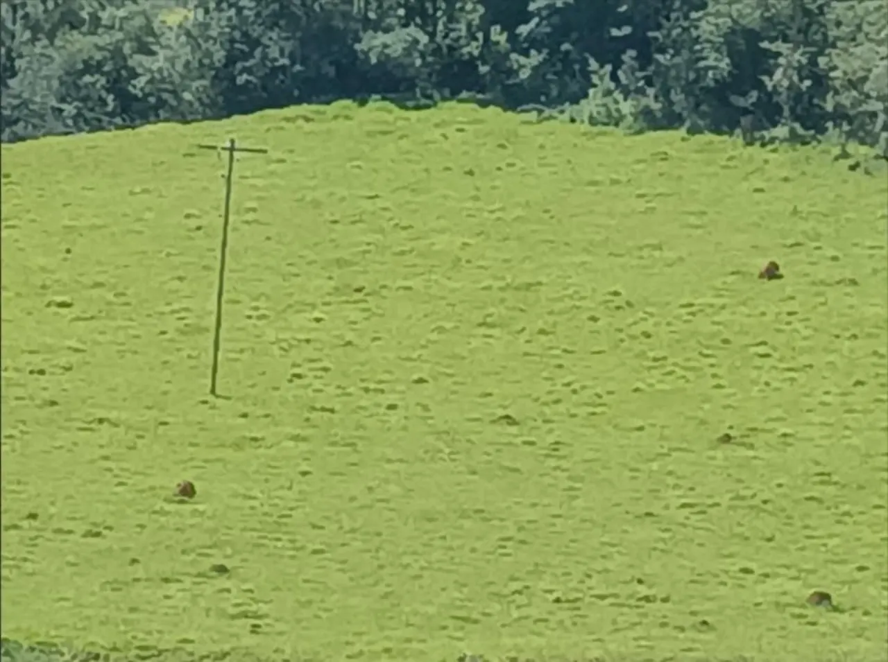 Fazenda à venda de 9 ha em Lavras, MG, Brasil