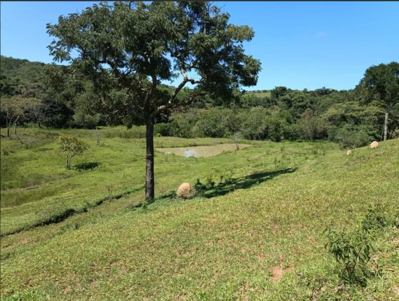 Fazenda à venda de 9 ha em Lavras, MG, Brasil