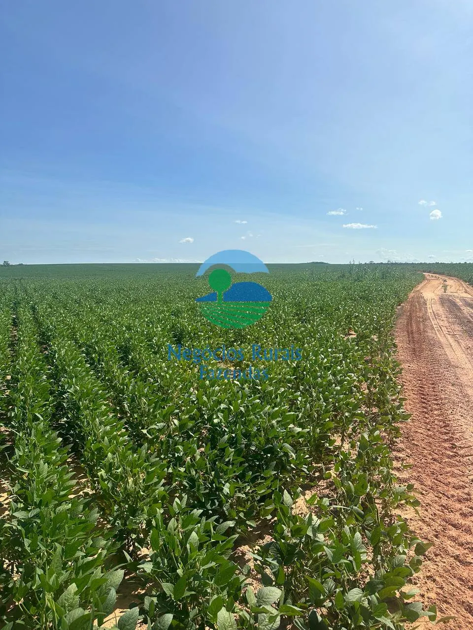 Fazenda à venda de 2.000 ha em Palmas, TO, Brasil
