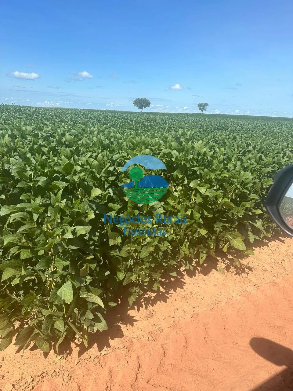 Fazenda à venda de 2.000 ha em Palmas, TO, Brasil