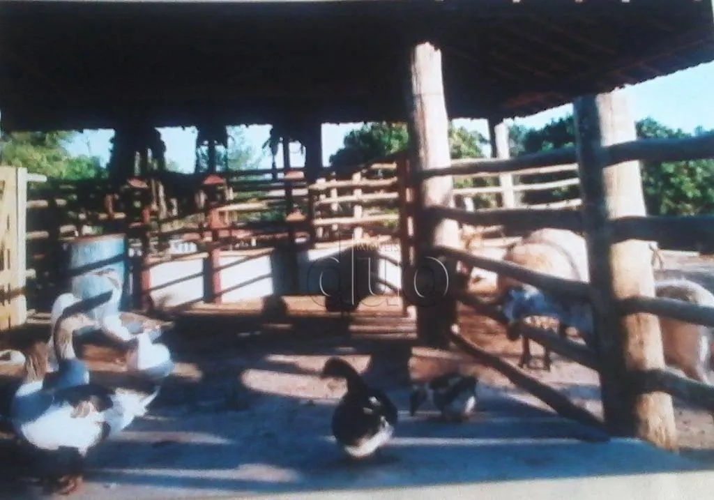 Fazenda à venda de 30.000 ha em São Pedro, SP, Brasil