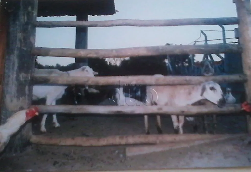 Fazenda à venda de 30.000 ha em São Pedro, SP, Brasil