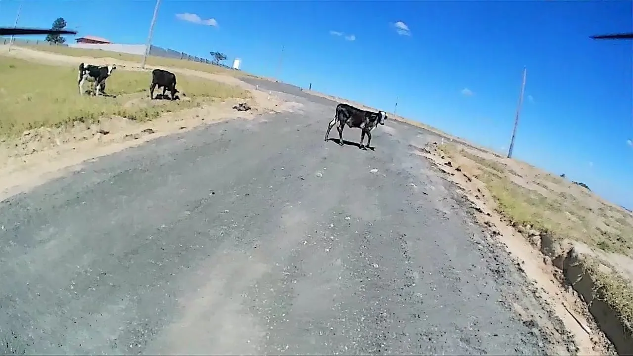 Chácara à venda de 500 m² em Hortolândia, SP, Brasil