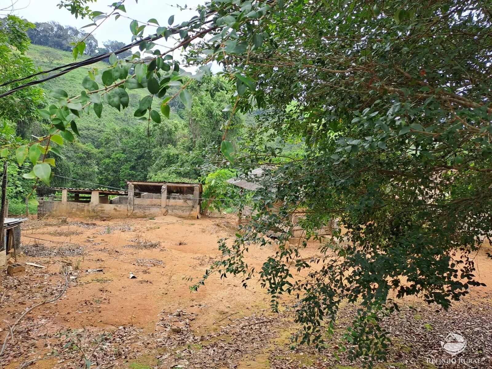 Fazenda à venda de 79 ha em Vargem Bonita, MG, Brasil