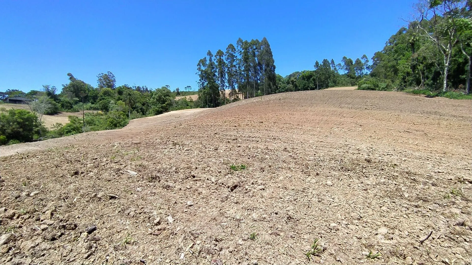 Terreno à venda de 29 ha em Vitor Meireles, SC, Brasil