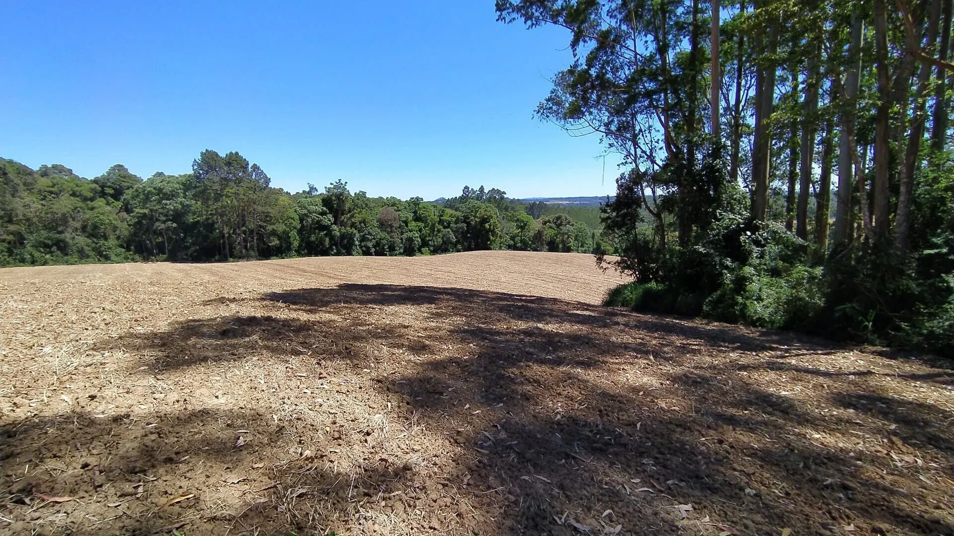 Terreno à venda de 29 ha em Vitor Meireles, SC, Brasil