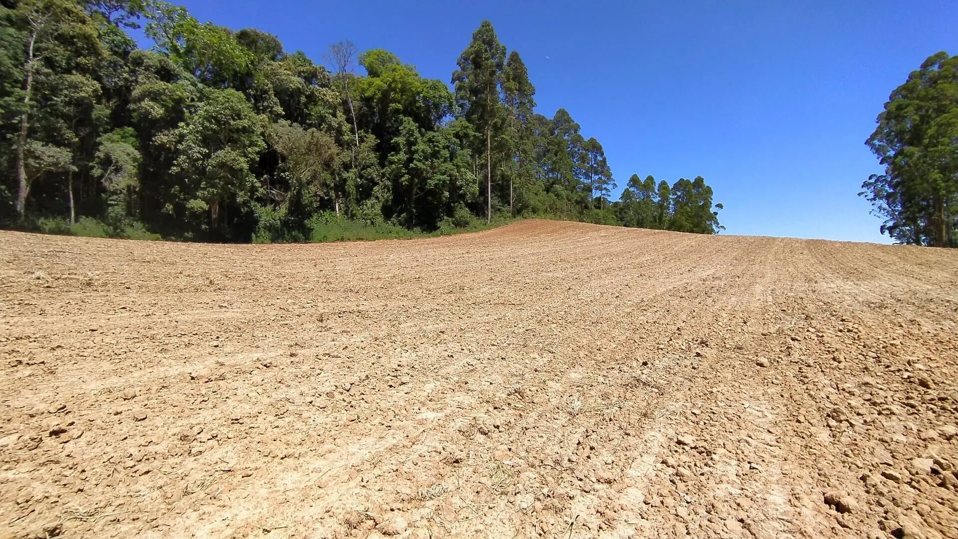 Terreno à venda de 29 ha em Vitor Meireles, SC, Brasil