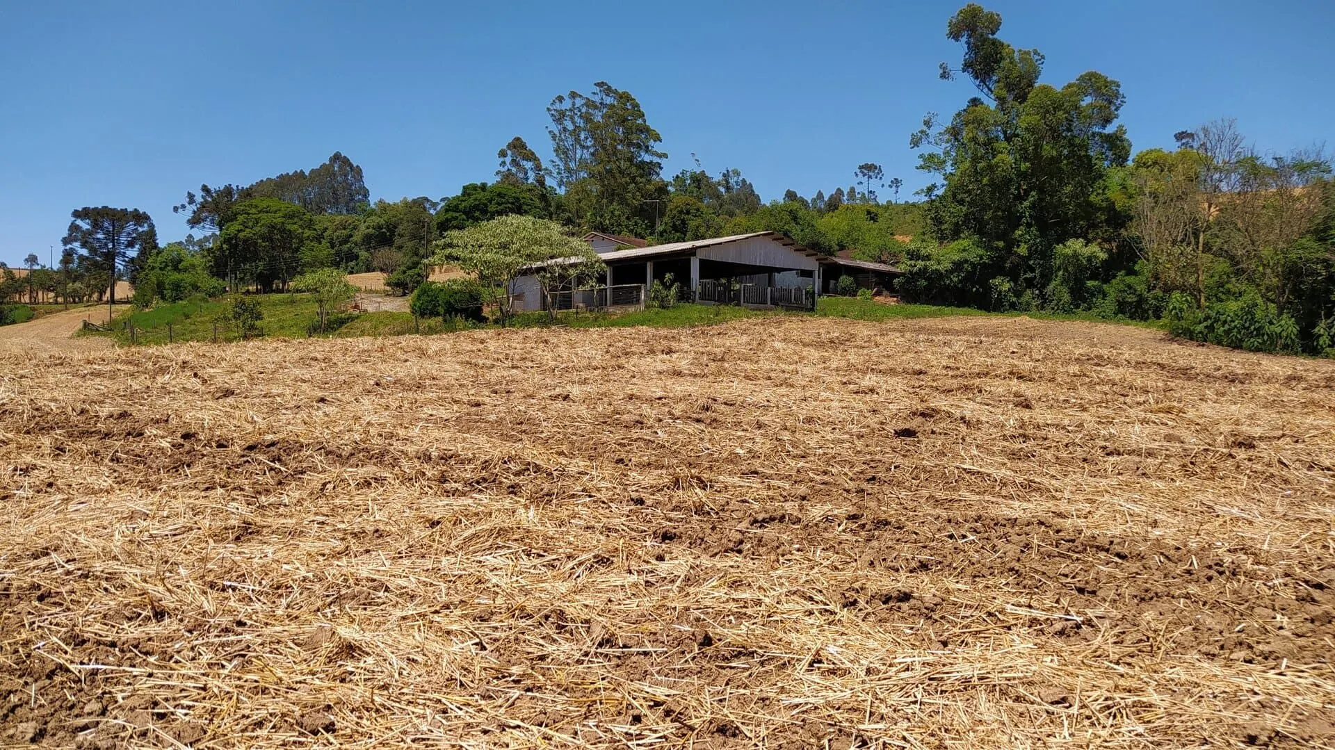 Terreno à venda de 29 ha em Vitor Meireles, SC, Brasil