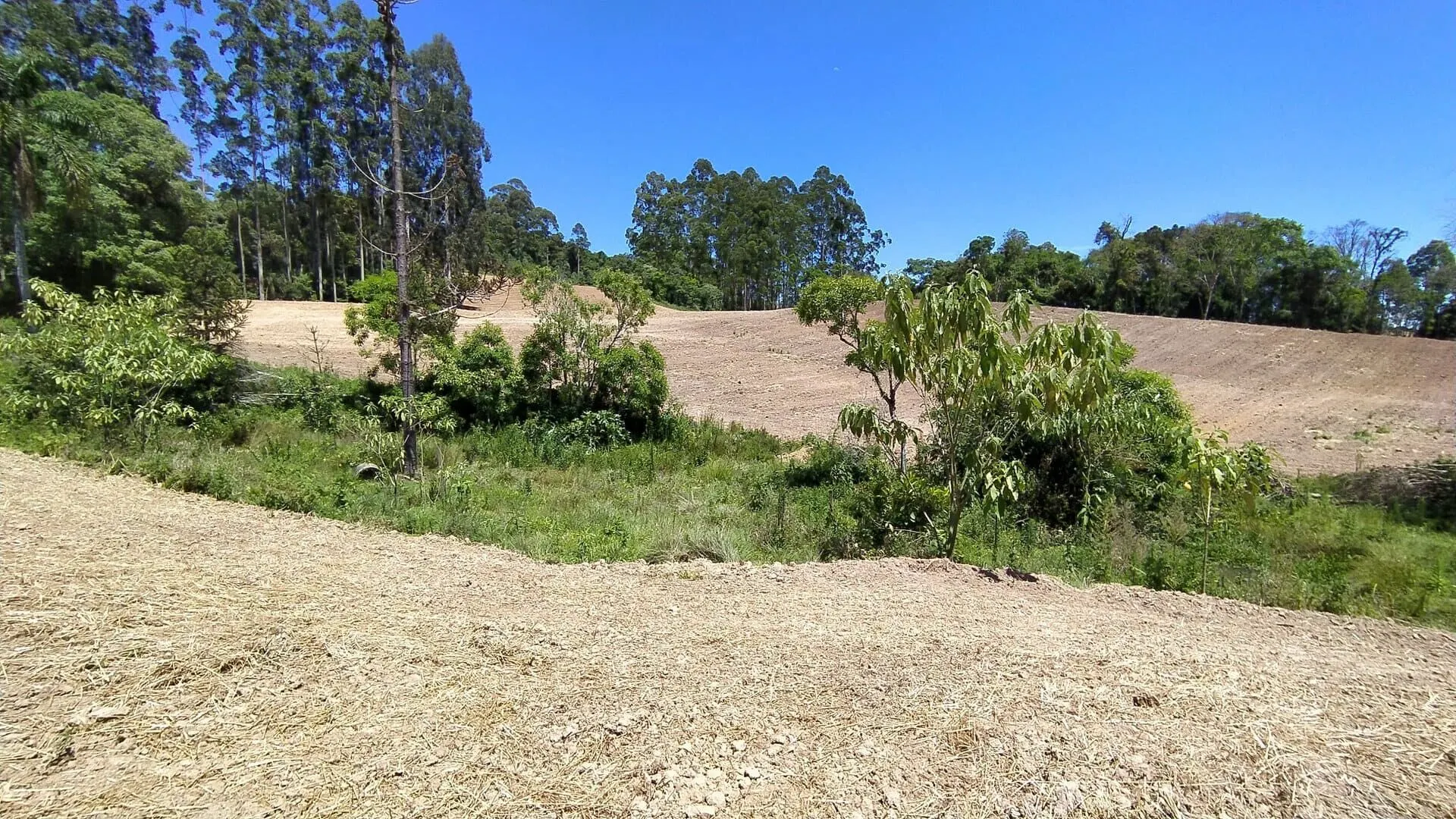 Terreno à venda de 29 ha em Vitor Meireles, SC, Brasil