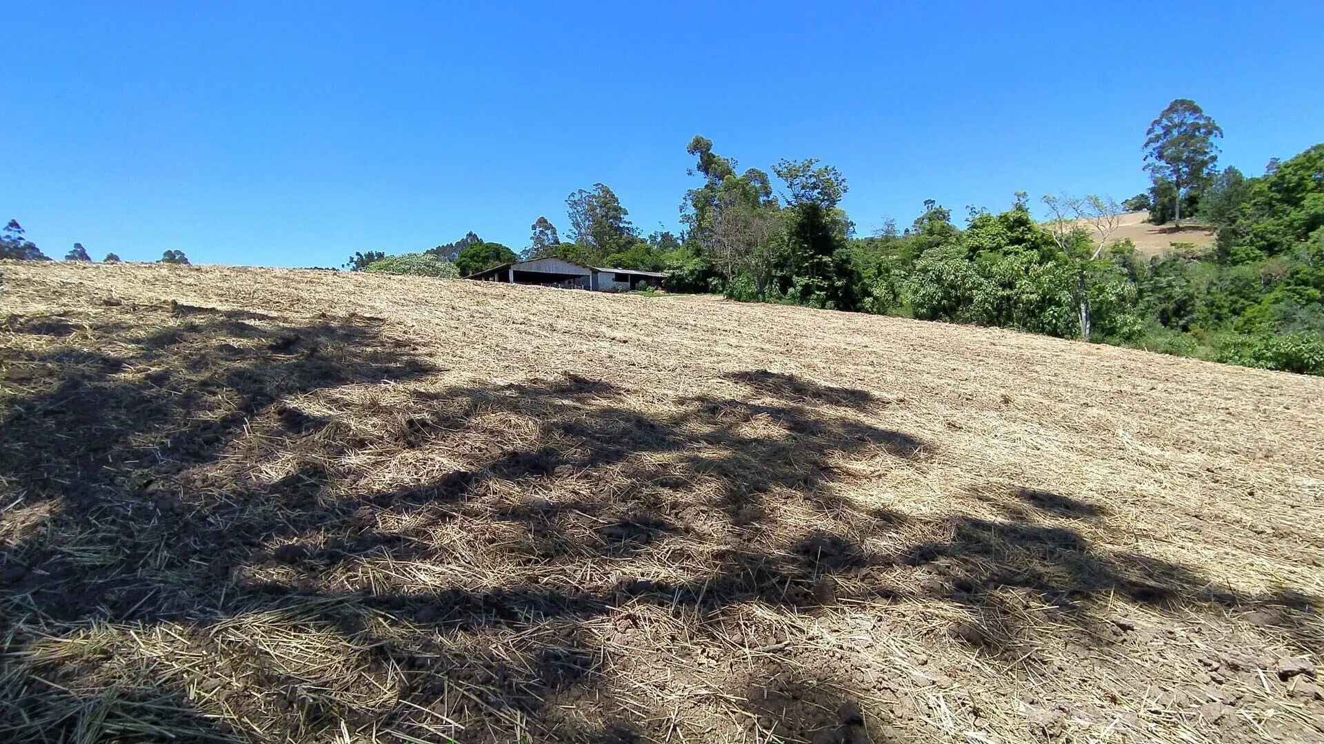 Terreno à venda de 29 ha em Vitor Meireles, SC, Brasil