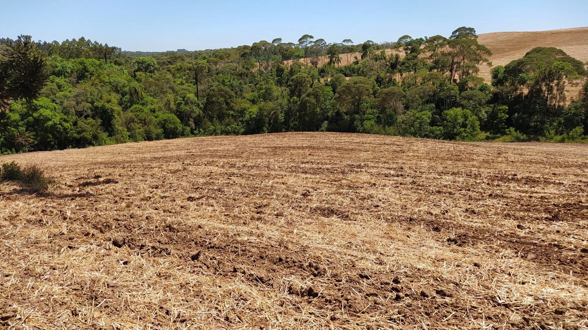 Terreno à venda de 29 ha em Vitor Meireles, SC, Brasil