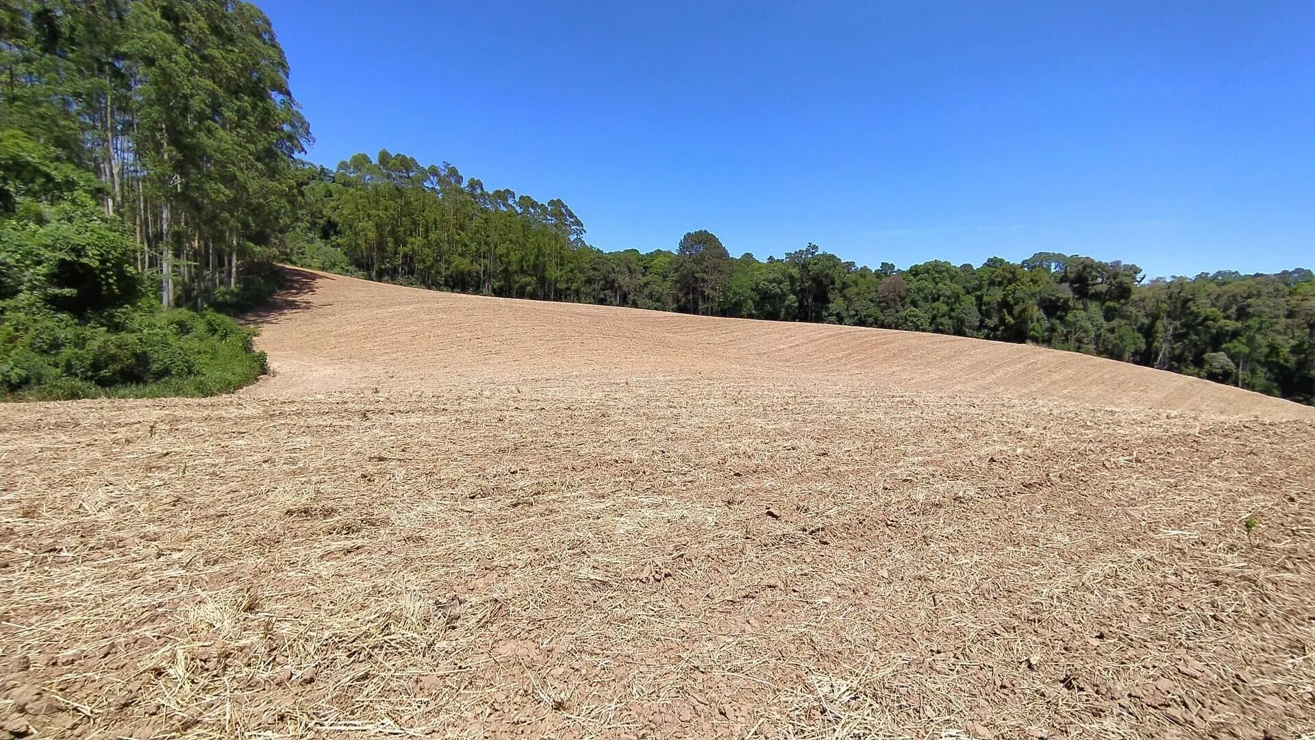 Terreno à venda de 29 ha em Vitor Meireles, SC, Brasil