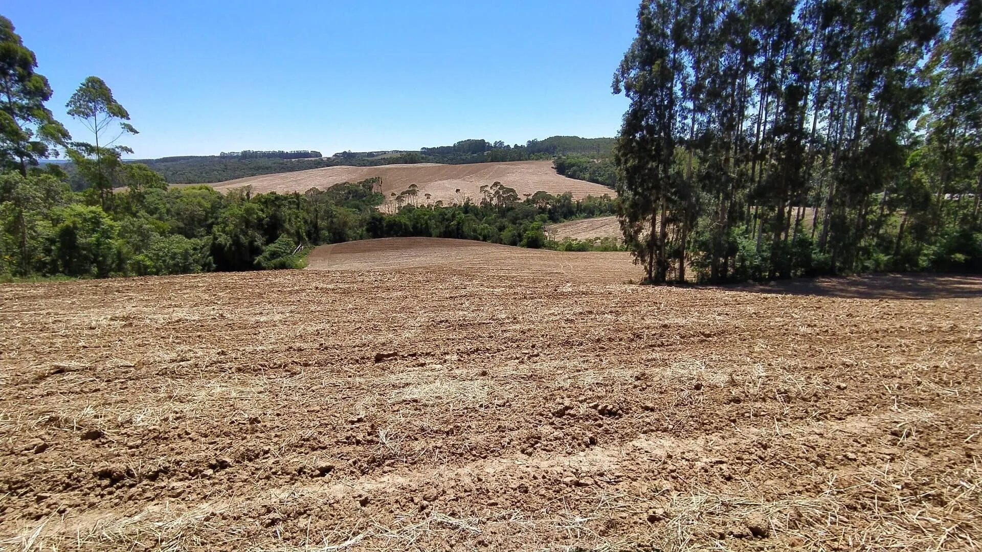 Terreno à venda de 29 ha em Vitor Meireles, SC, Brasil