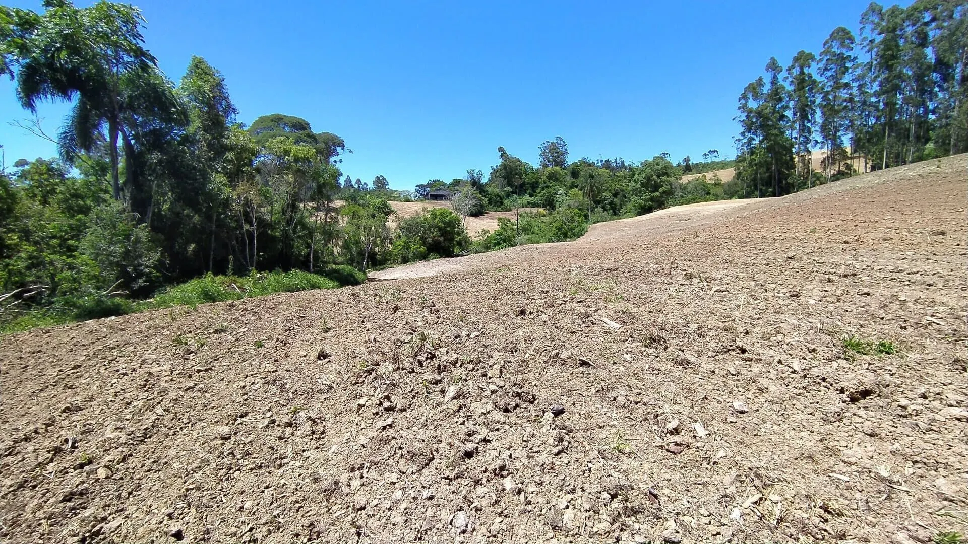 Terreno à venda de 29 ha em Vitor Meireles, SC, Brasil