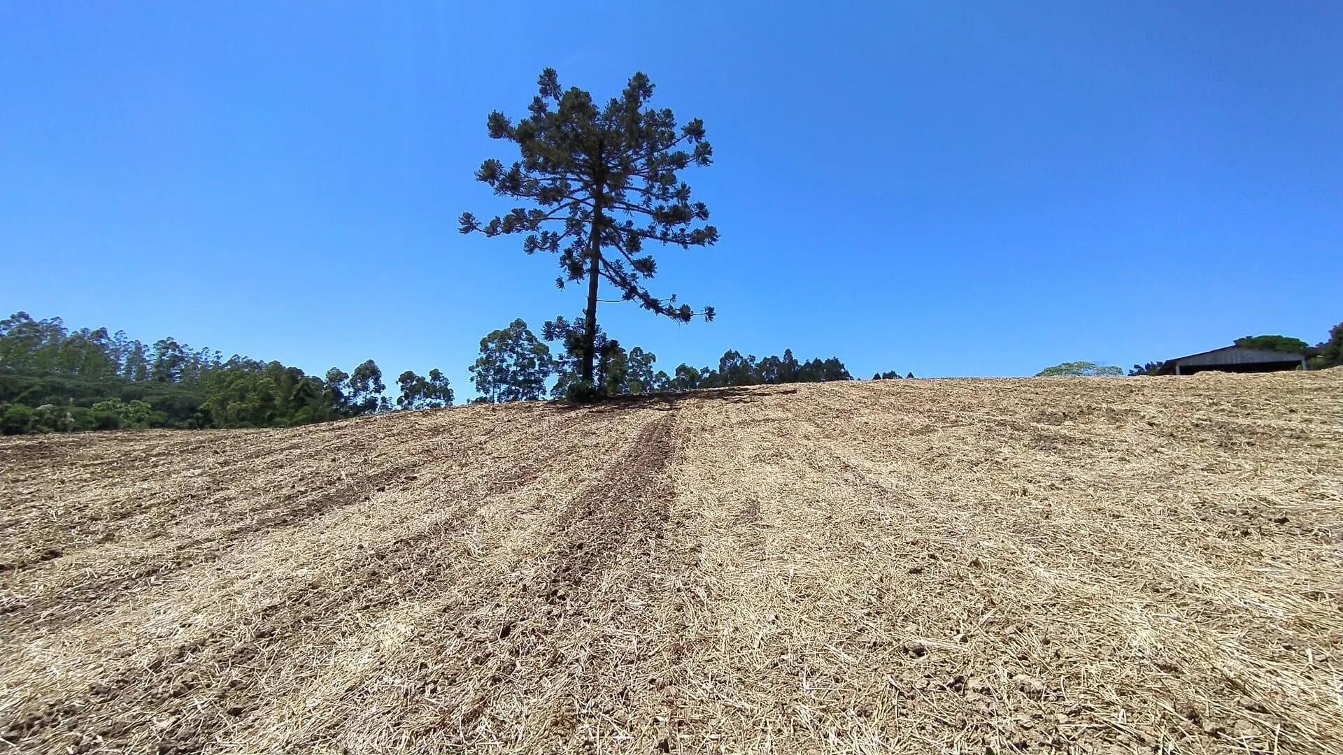Terreno à venda de 29 ha em Vitor Meireles, SC, Brasil