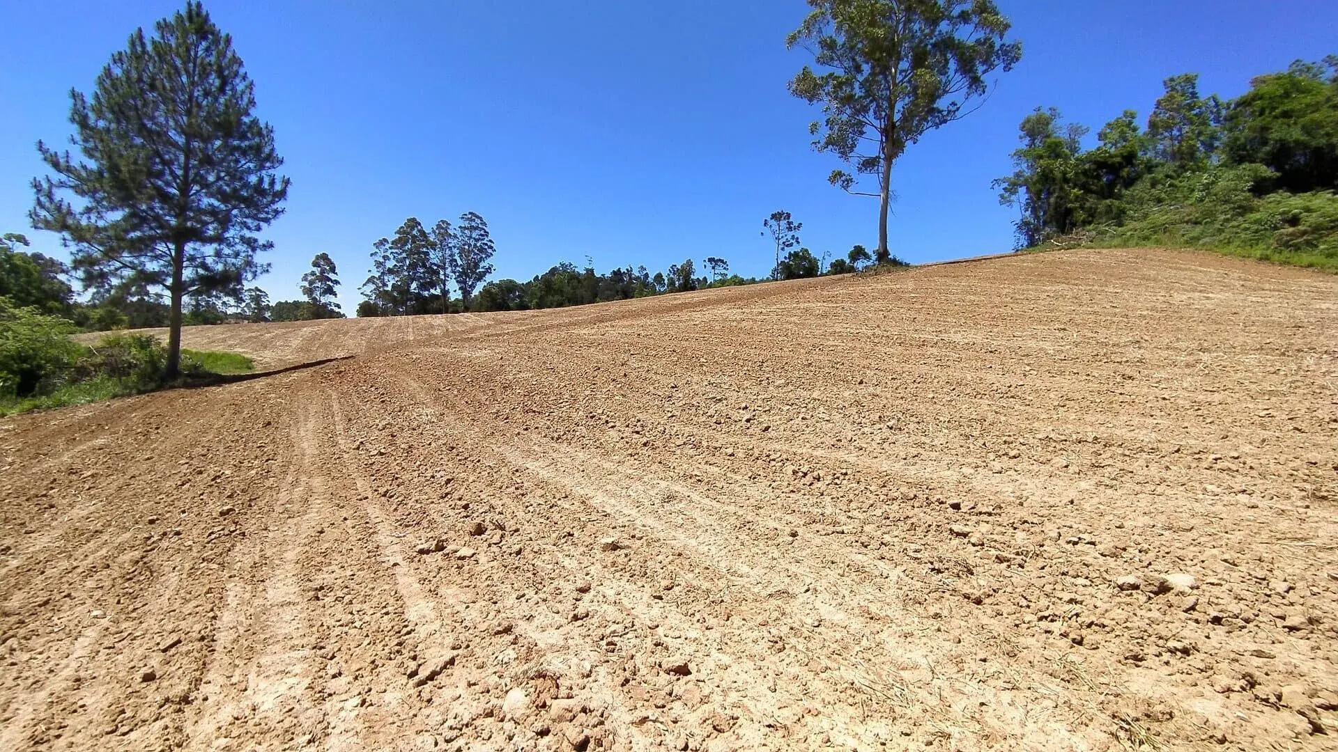 Terreno à venda de 29 ha em Vitor Meireles, SC, Brasil