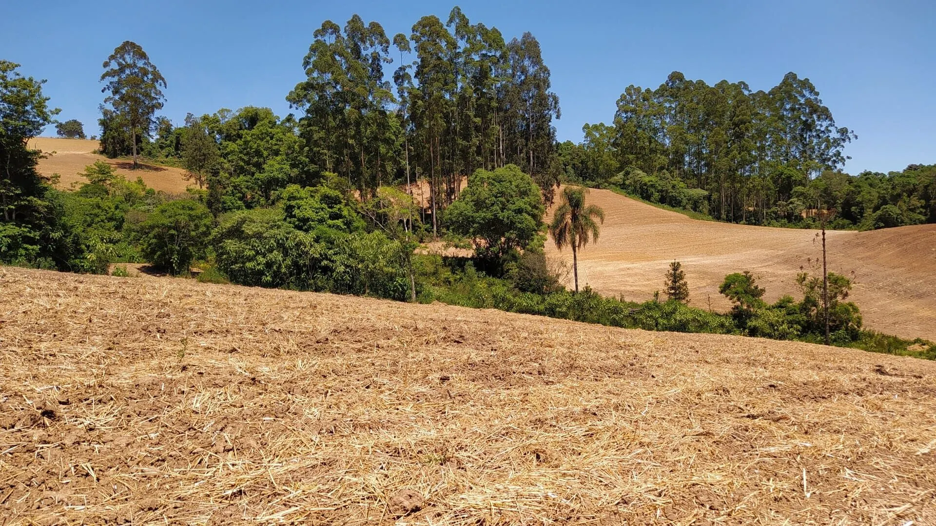 Terreno à venda de 29 ha em Vitor Meireles, SC, Brasil