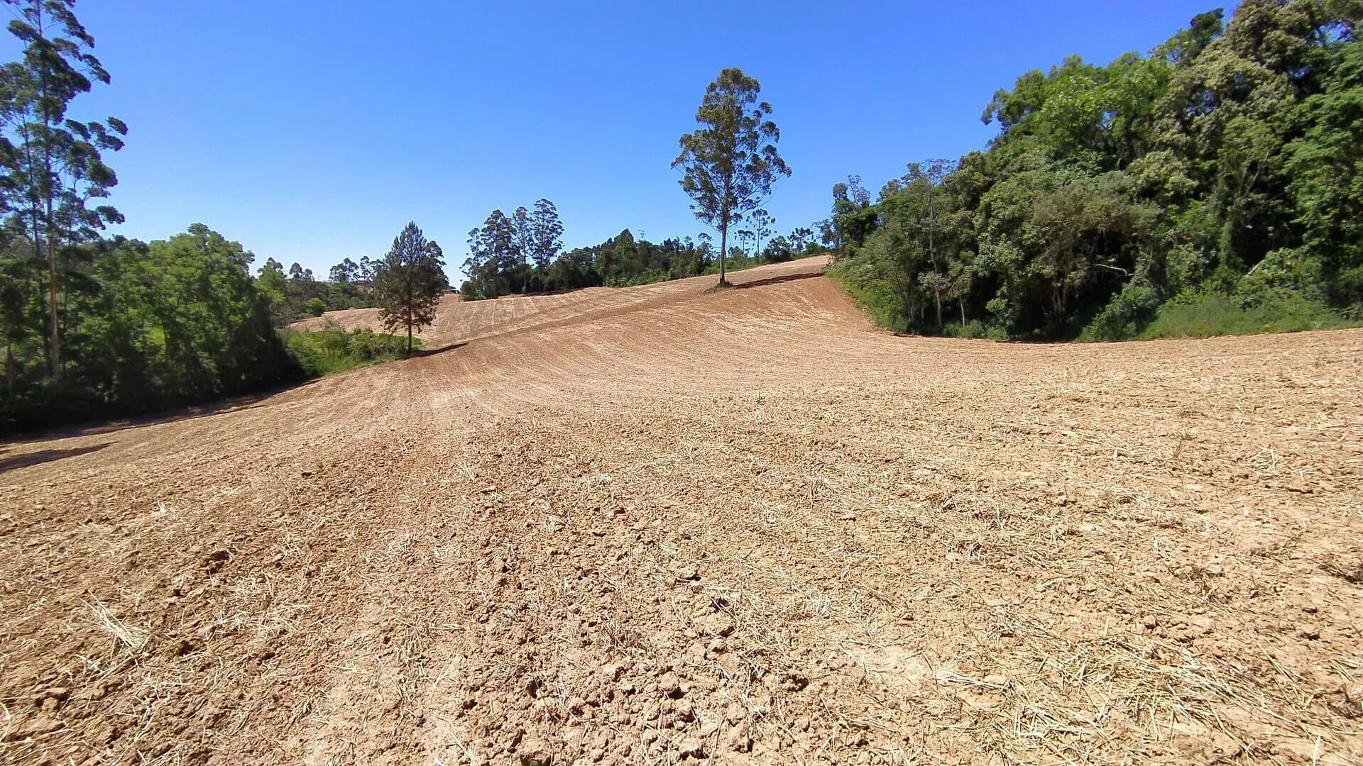 Terreno à venda de 29 ha em Vitor Meireles, SC, Brasil
