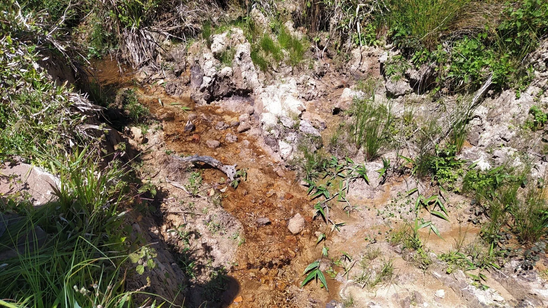 Terreno à venda de 29 ha em Vitor Meireles, SC, Brasil