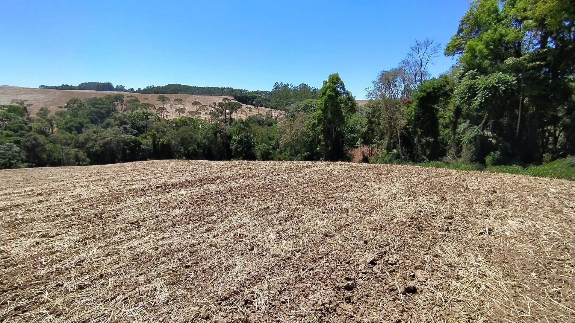 Terreno à venda de 29 ha em Vitor Meireles, SC, Brasil