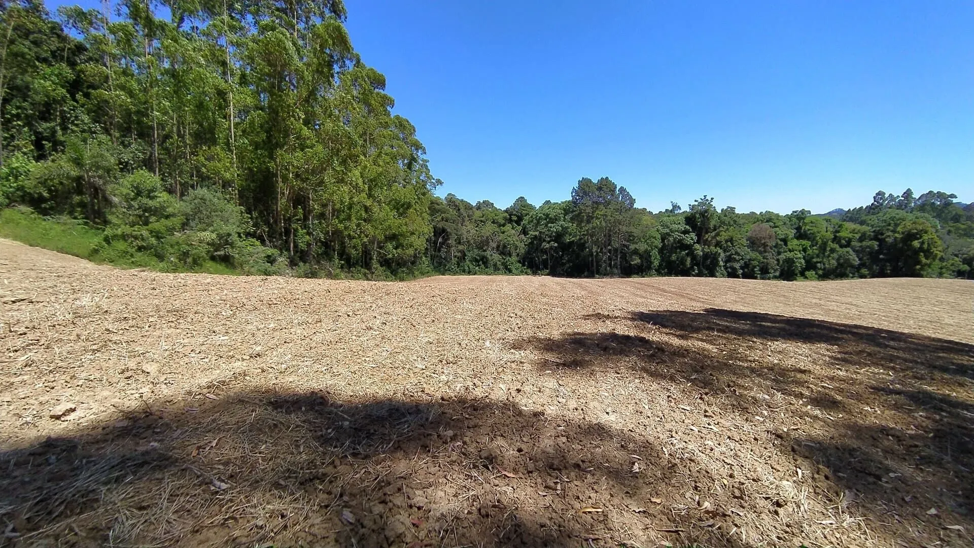 Terreno à venda de 29 ha em Vitor Meireles, SC, Brasil
