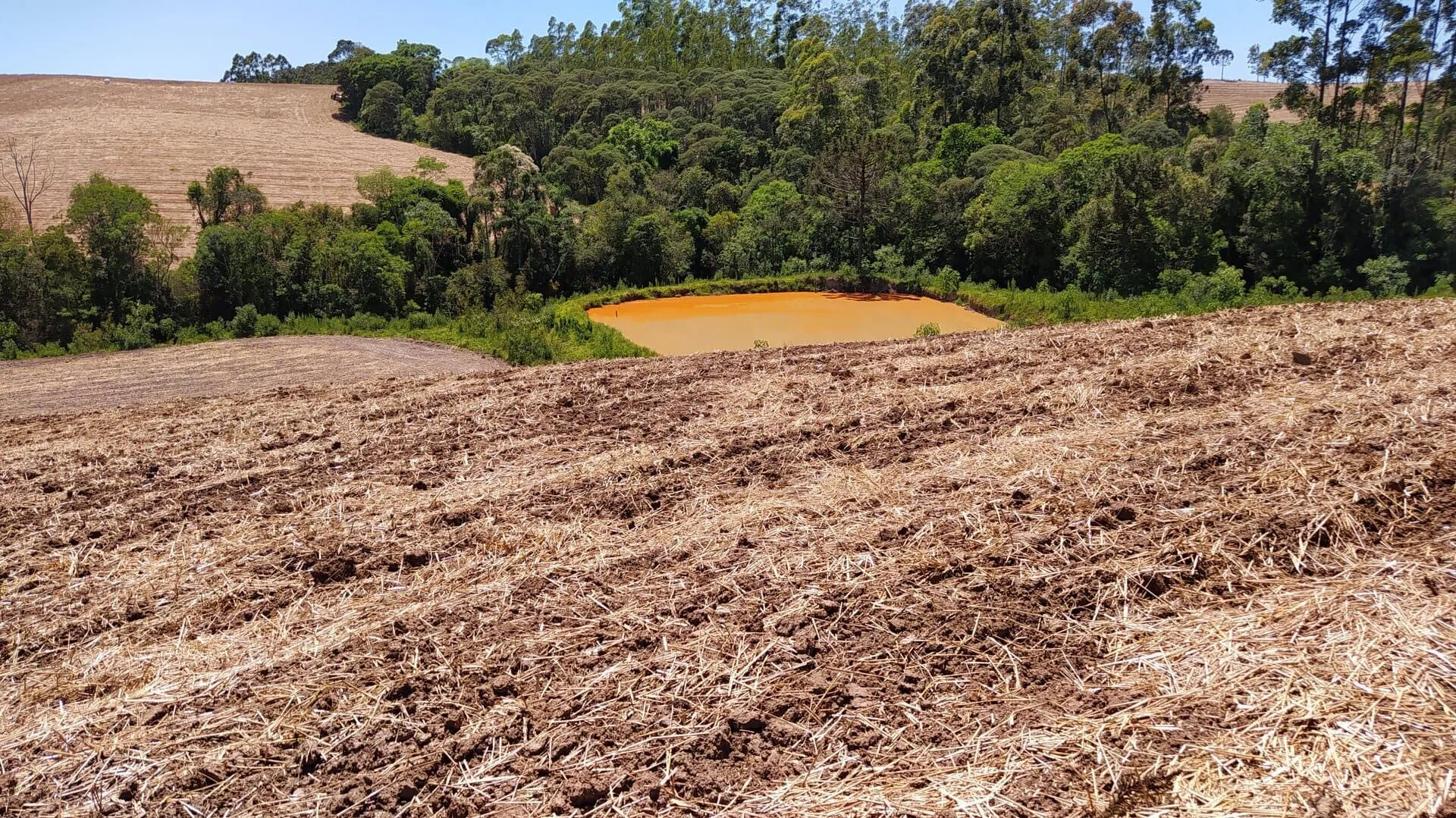Terreno à venda de 29 ha em Vitor Meireles, SC, Brasil