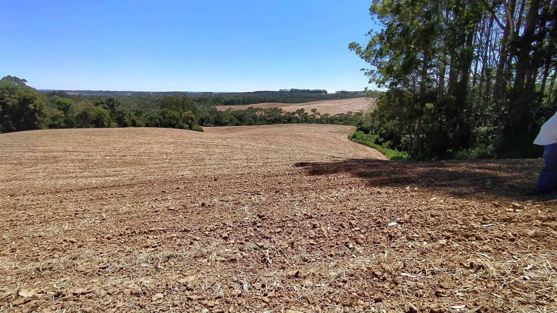 Terreno à venda de 29 ha em Vitor Meireles, SC, Brasil