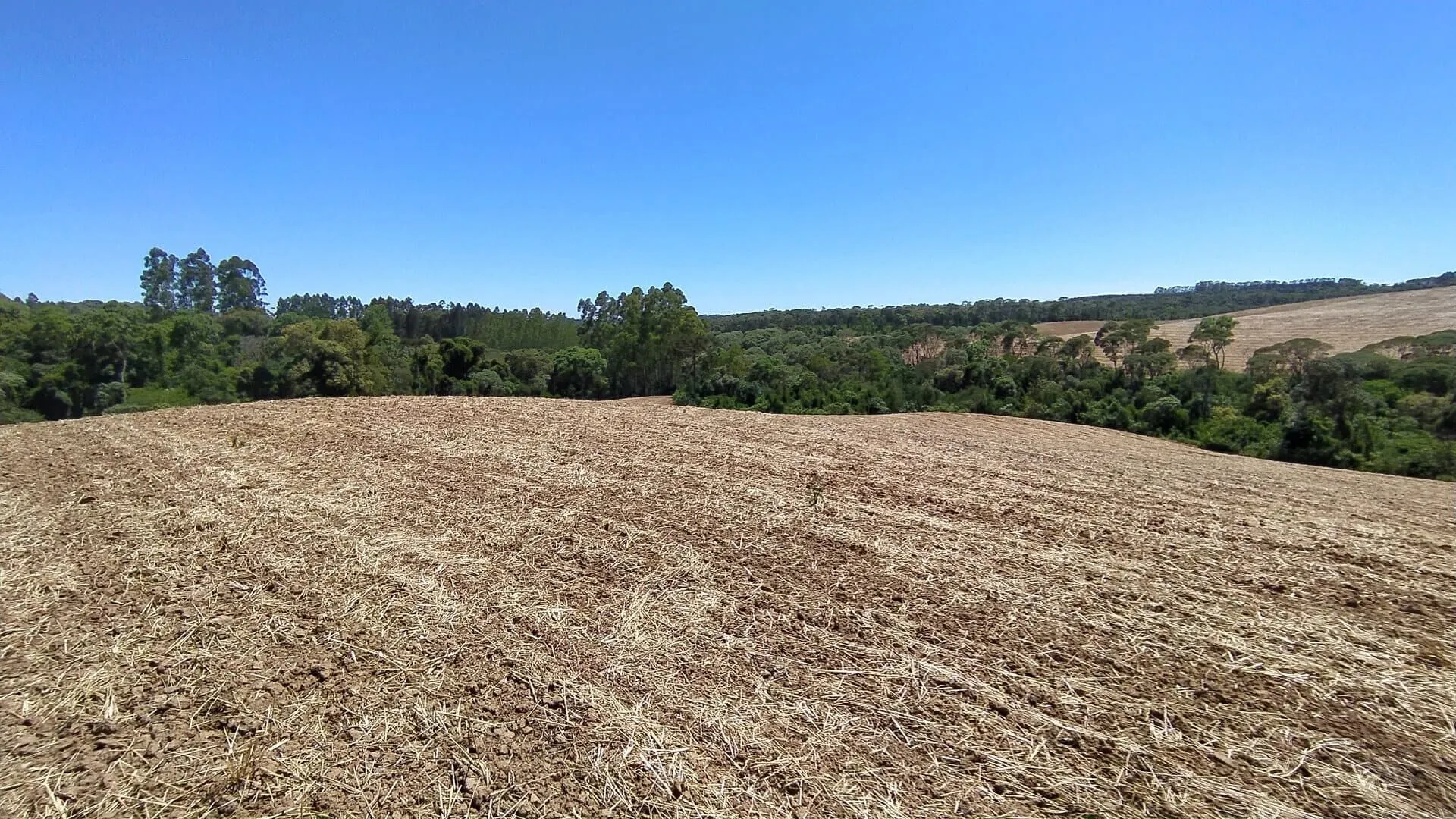 Terreno à venda de 29 ha em Vitor Meireles, SC, Brasil