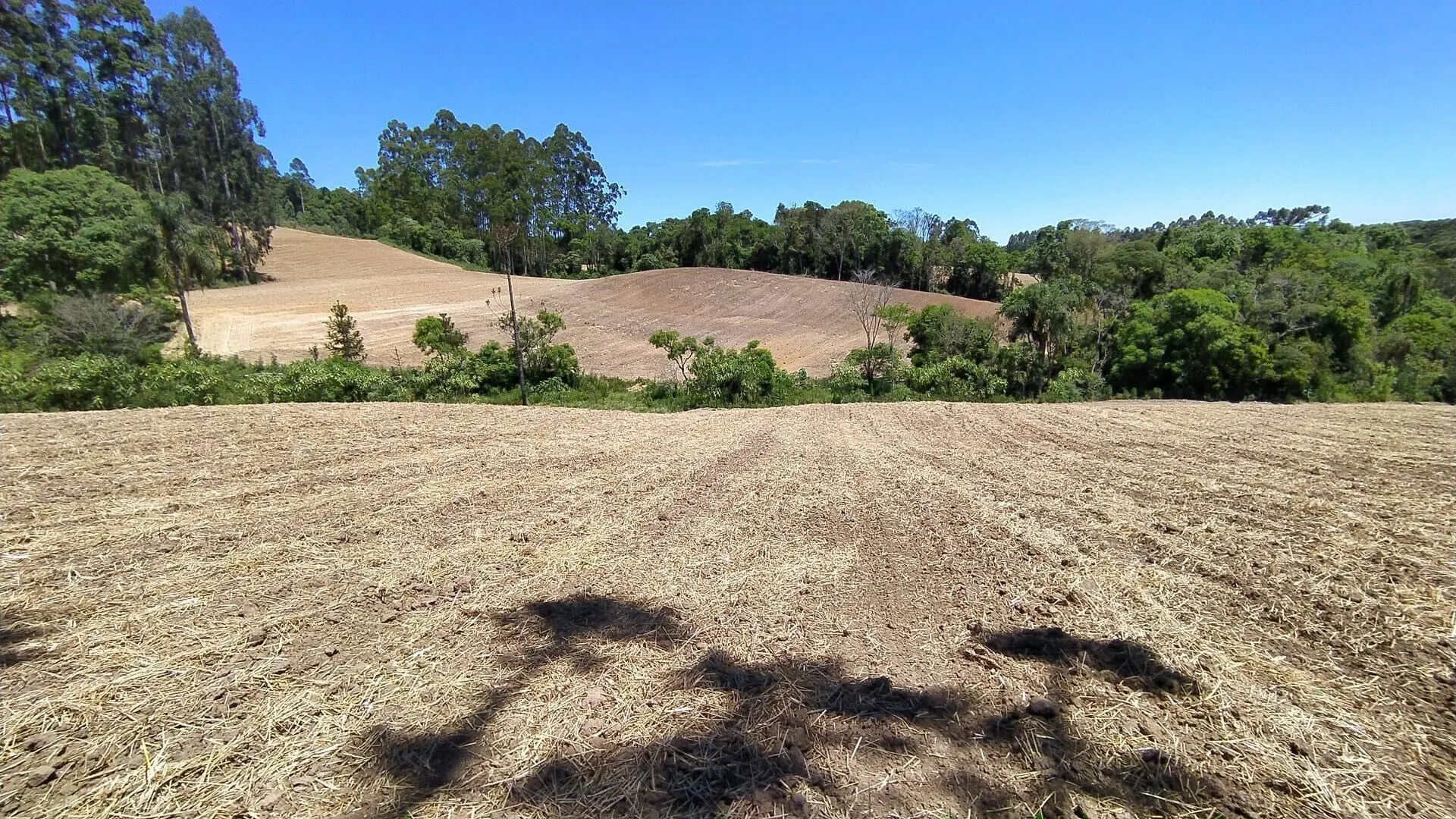 Terreno à venda de 29 ha em Vitor Meireles, SC, Brasil