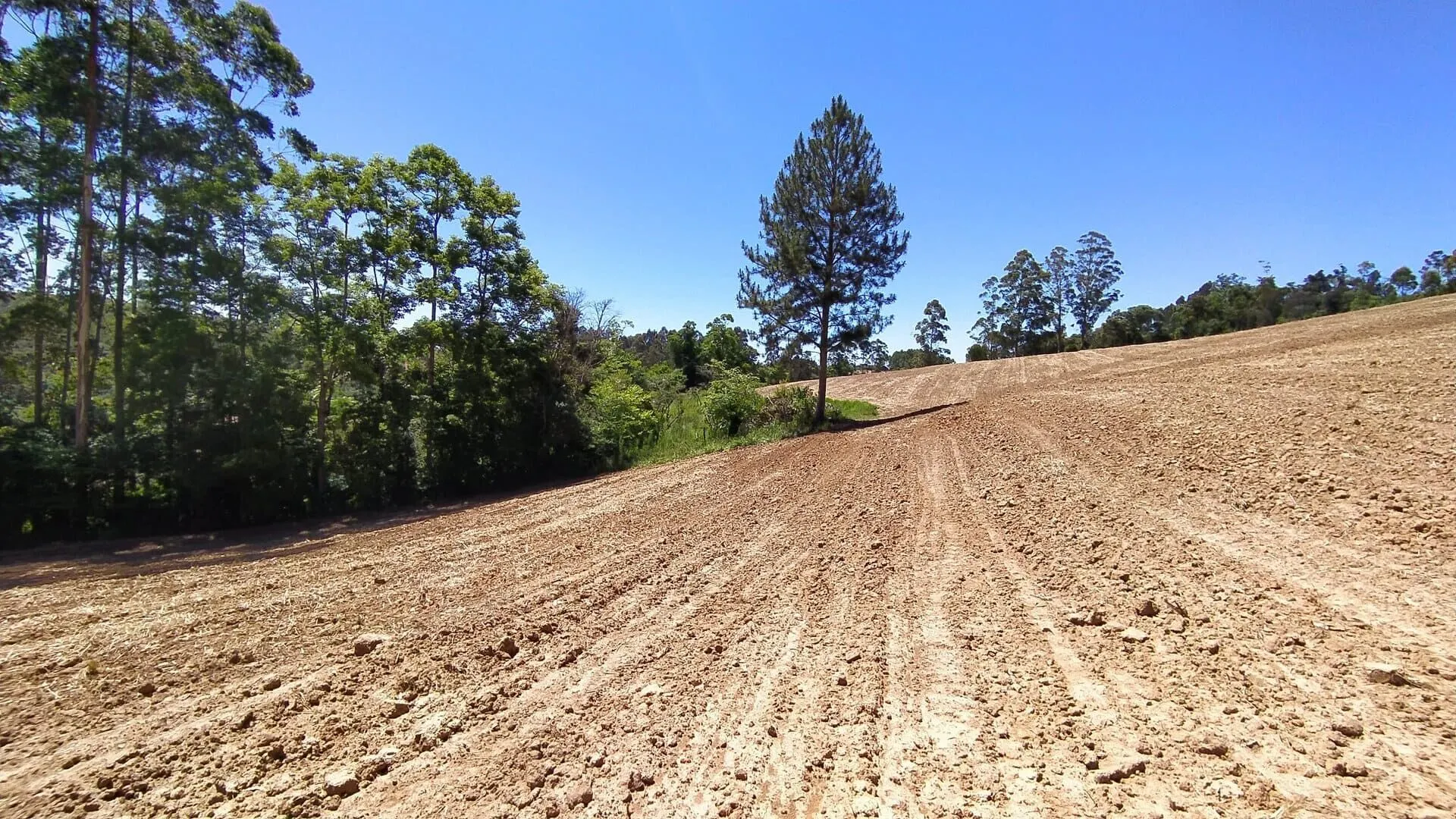 Terreno à venda de 29 ha em Vitor Meireles, SC, Brasil