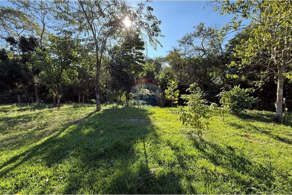Chácara à venda de 1 ha em Itapira, SP, Brasil
