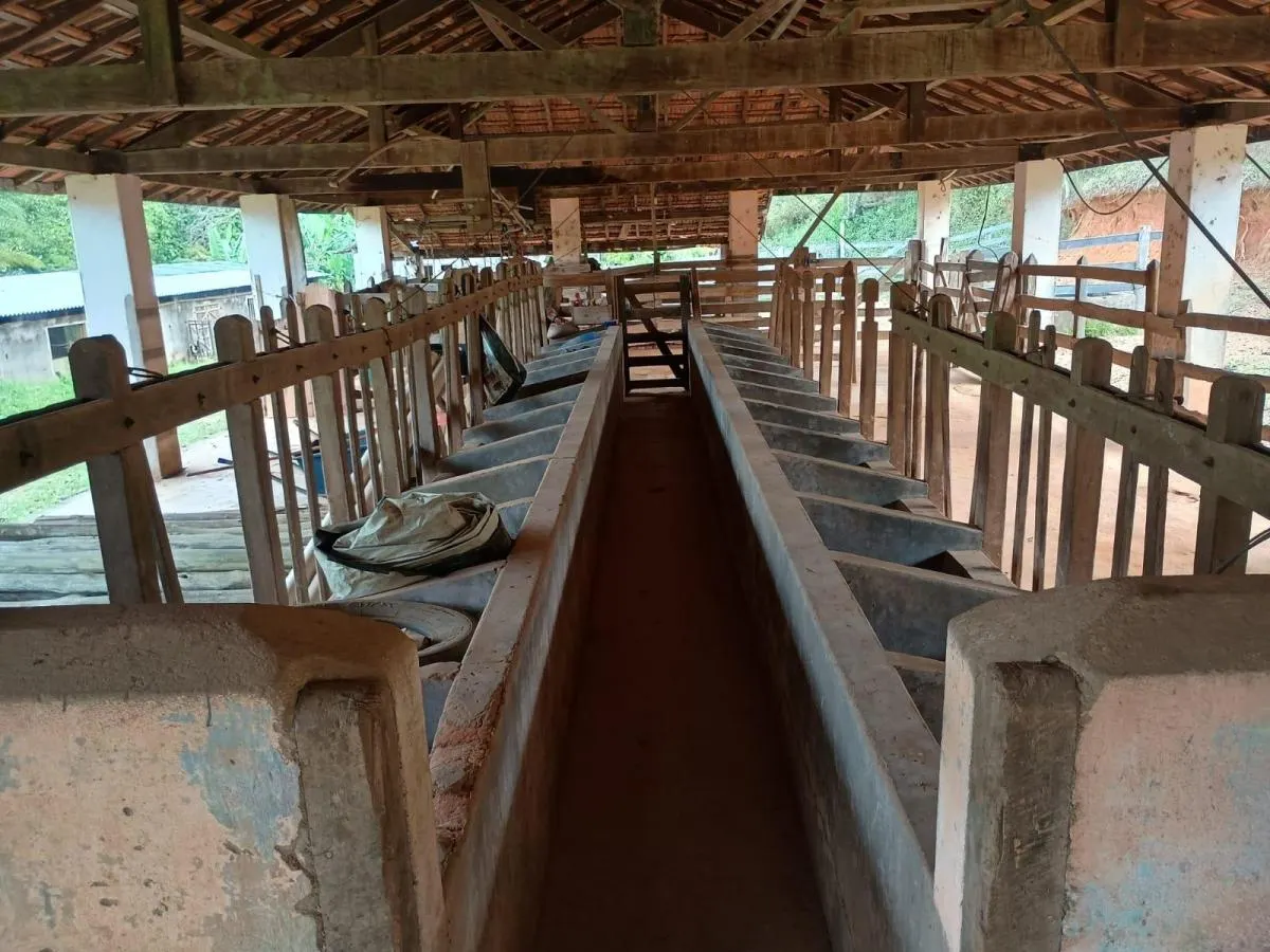 Fazenda à venda de 780 ha em Areias, SP, Brasil