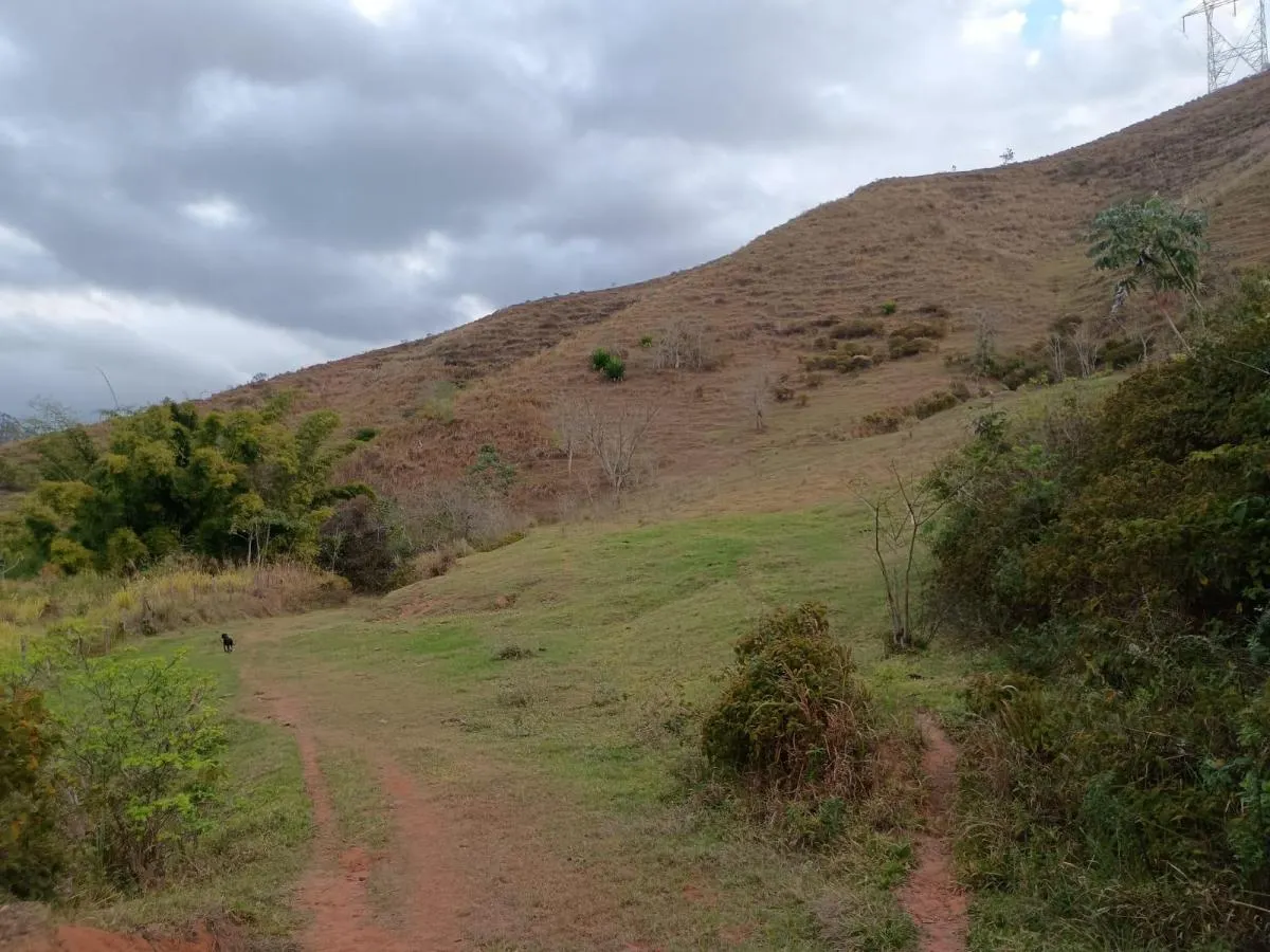 Fazenda à venda de 780 ha em Areias, SP, Brasil