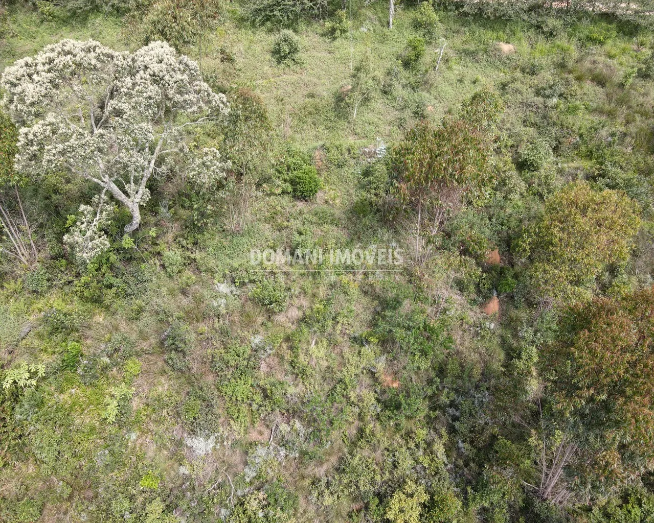 Terreno à venda de 6.880 m² em Campos do Jordão, SP, Brasil